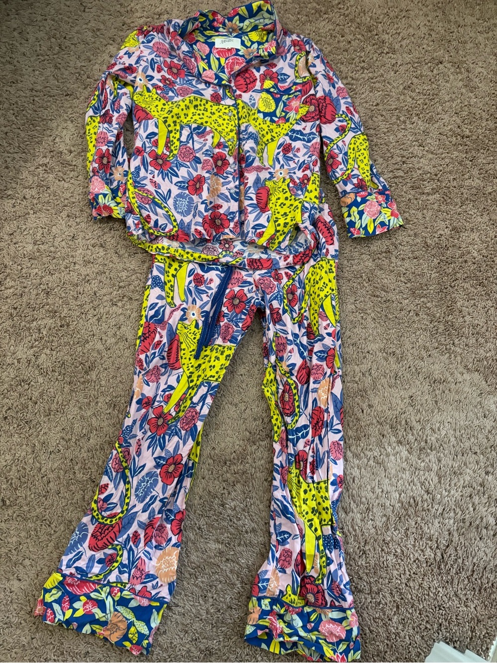 Anthropologie Agathe Singer Cheetah Flannel Sleep Top&Pants - Picture 2 of 4